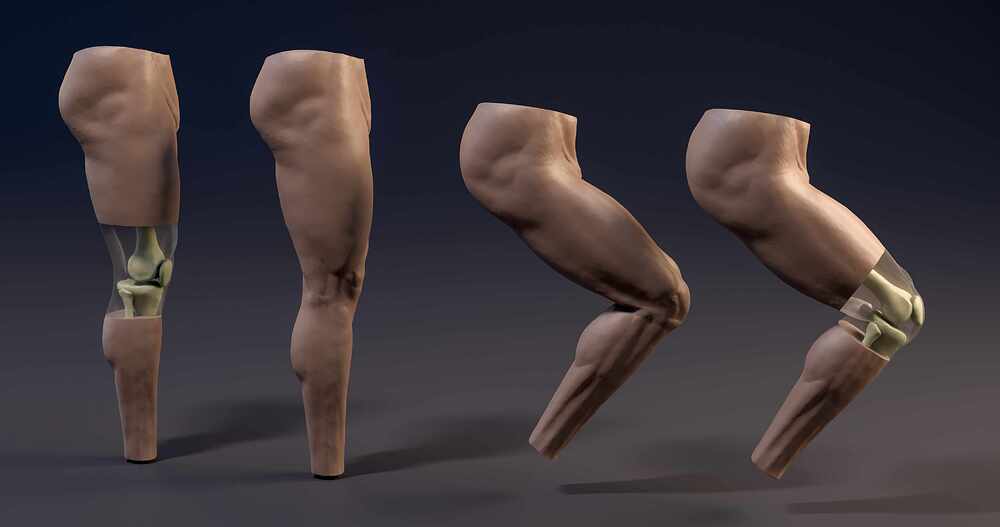 Leg_all_03