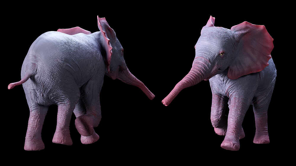1003
