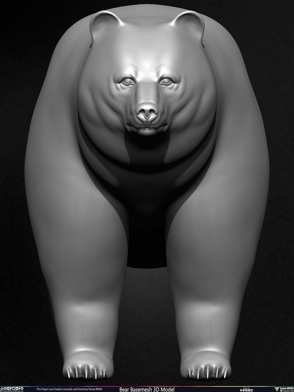 Bear Basemesh 3D Model Sculpted by Yacine BRINIS Set 011