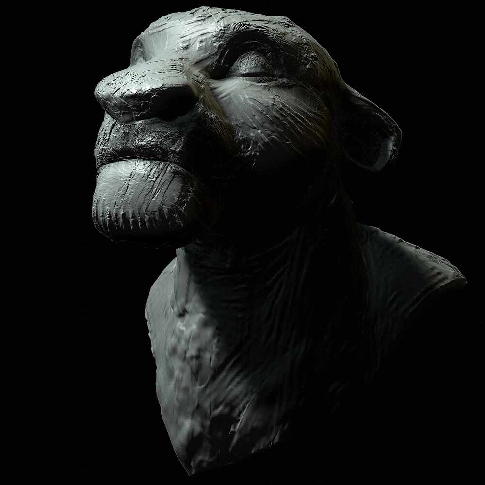 Sarabi_Bpr_001