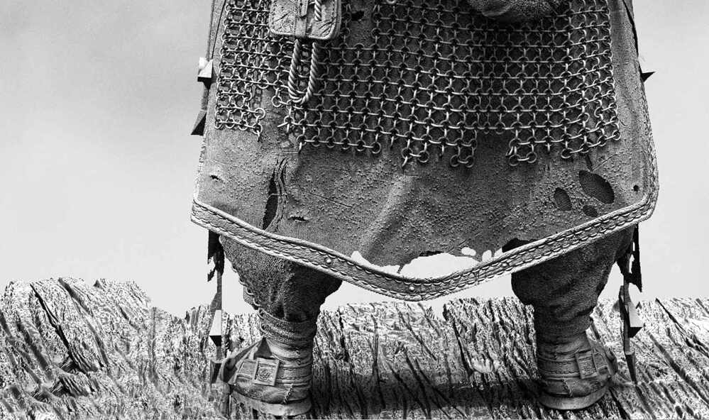 paladin_both_05