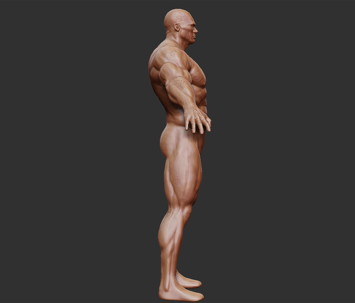 he-man_body_right_01.jpg