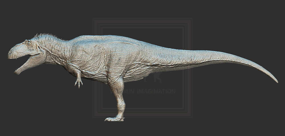 ZBrush Document4
