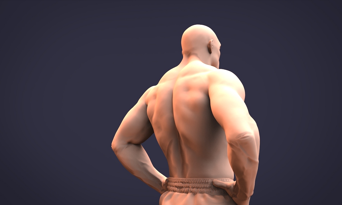 bip.2d6.jpg