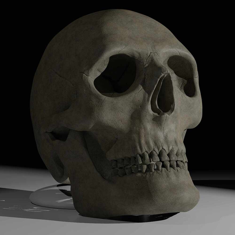 skull_new_2