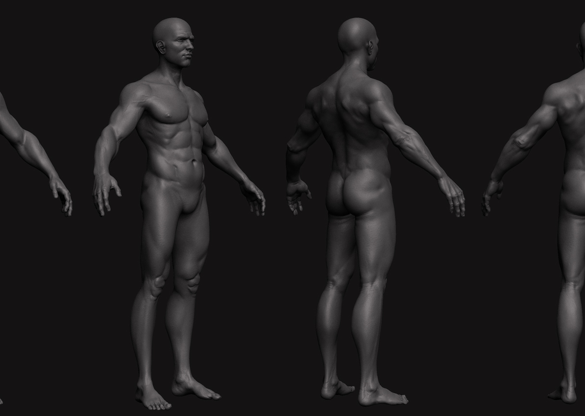 anatomy 01.jpg
