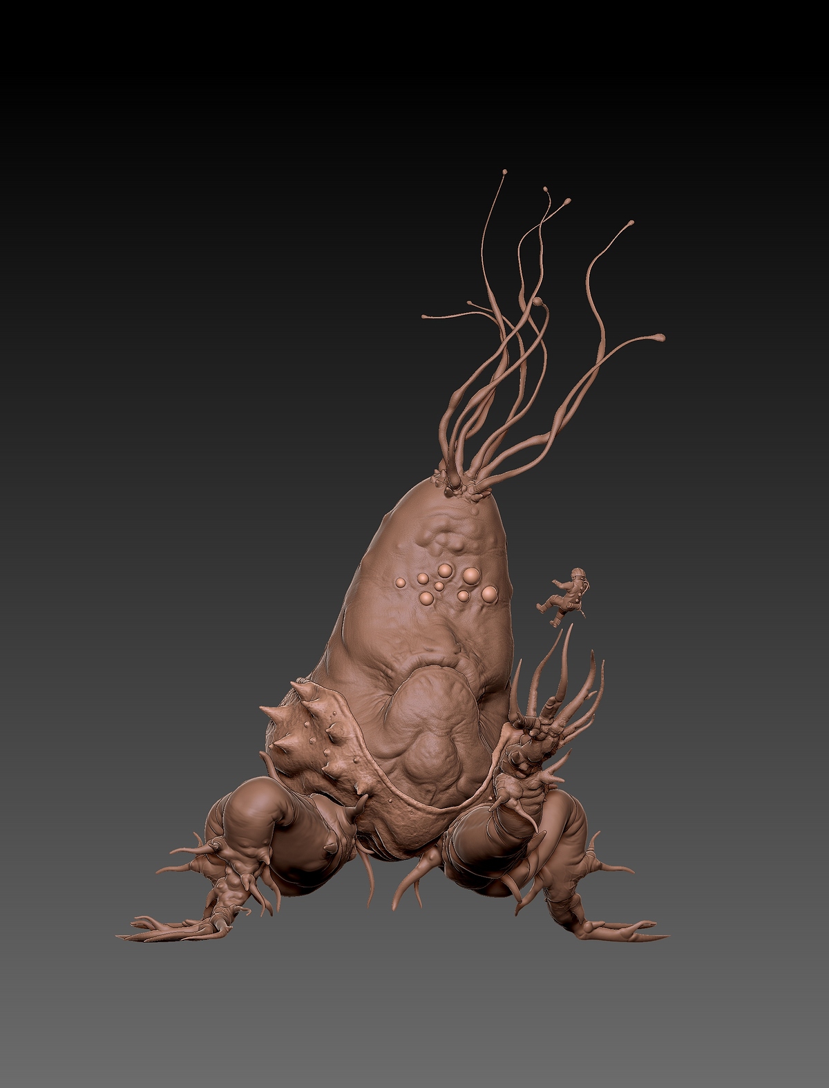 ZBrush Document01