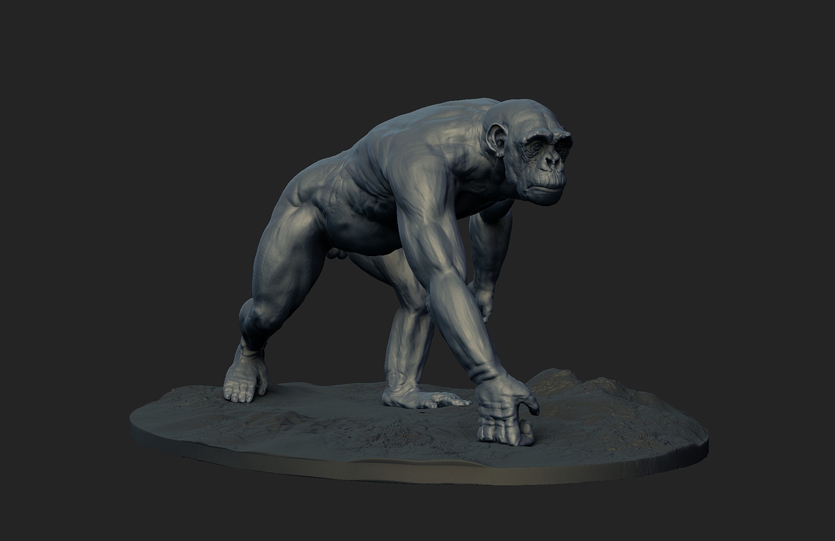 chimp_002b