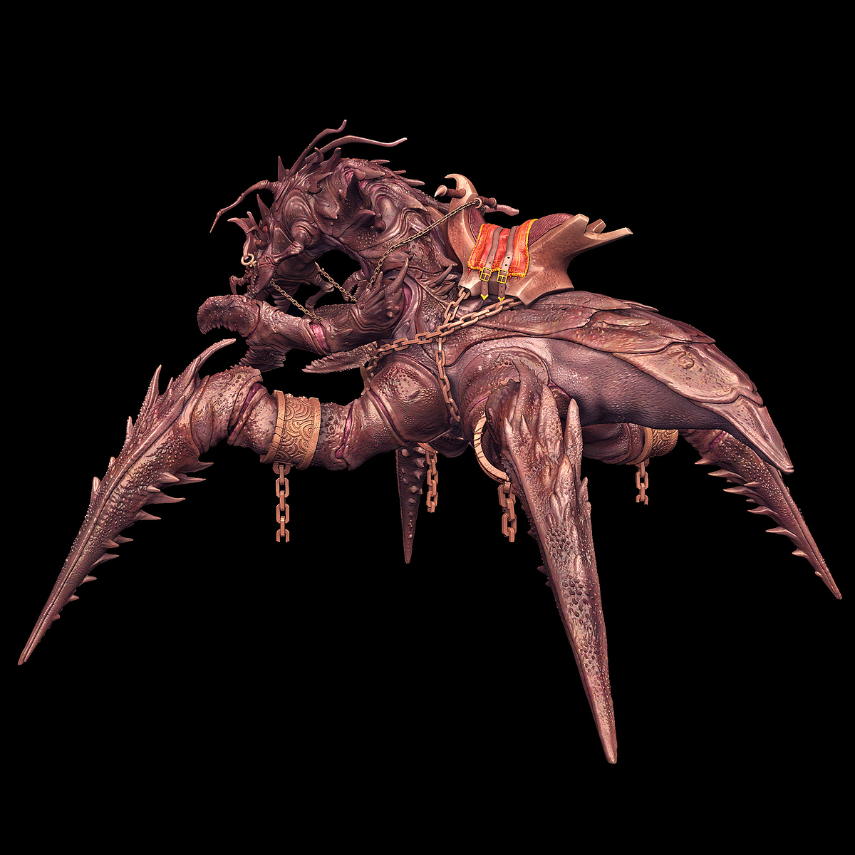 bug-back