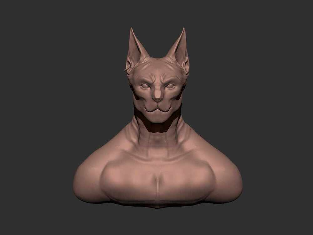 front cat