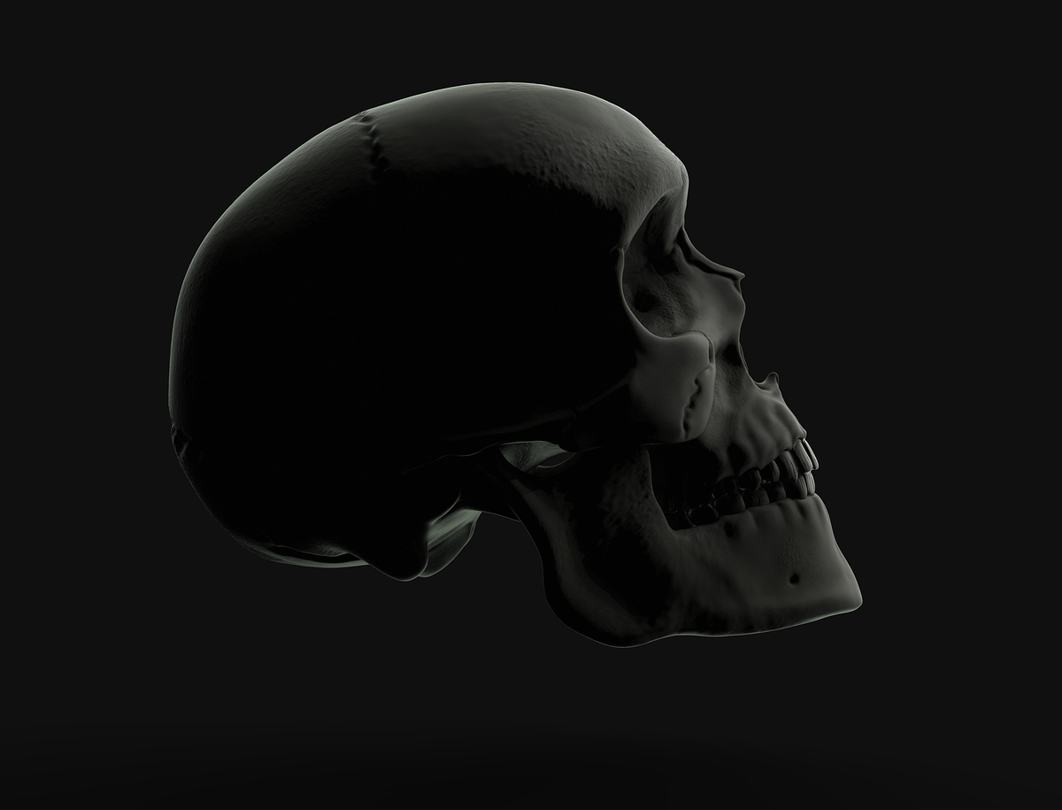 Render9_MariaCalatrava