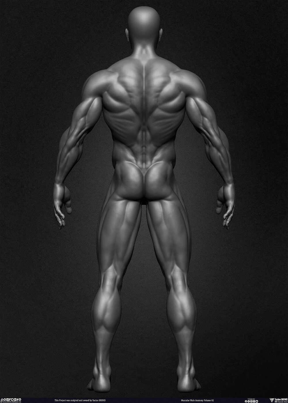 Muscular Male Anatomy Volume 2 3D Character sculpted by Yacine BRINIS 014
