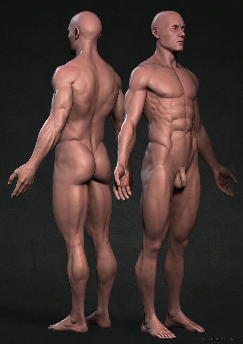 Skin-Sides