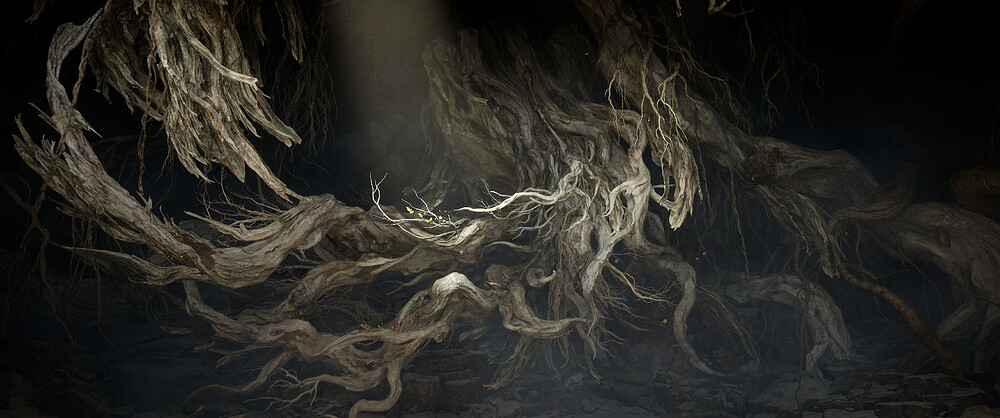 Roots of the Haligtree