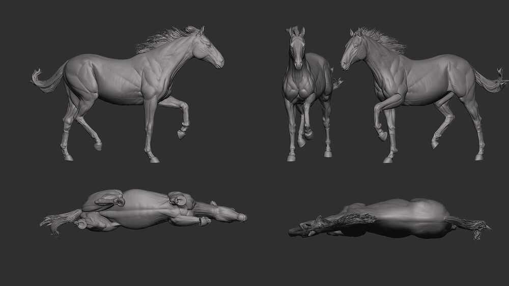 ZBrush Horse