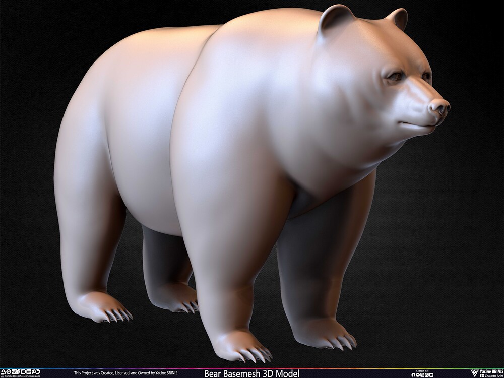 Bear Basemesh 3D Model Sculpted by Yacine BRINIS Set 033