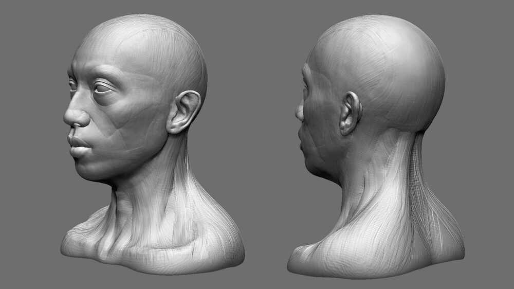 head.1002