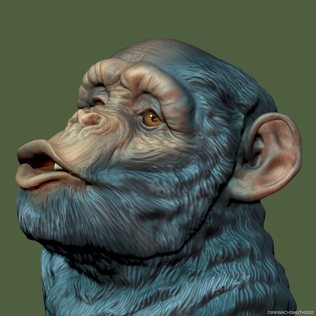 chimp_06