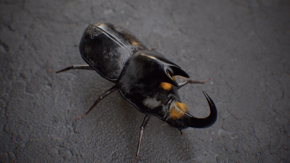 diego-viegas-tbrender-020