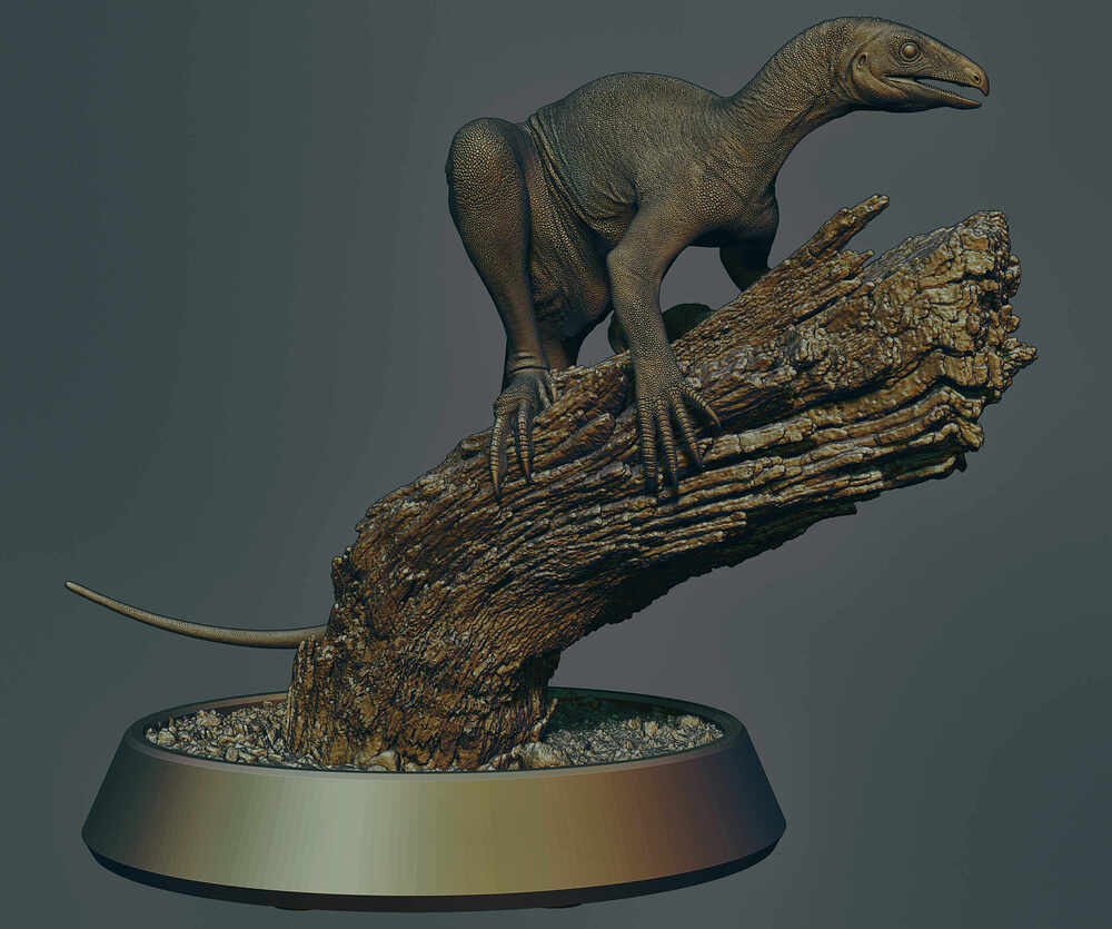 Venetoraptor-gassenae05