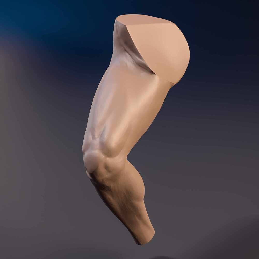 Leg_Bend_Cam_02