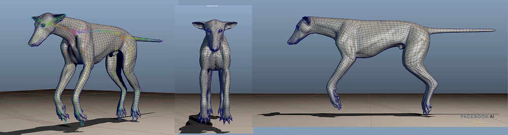gael-kerchenbaum-galgo-breakdown-01-008