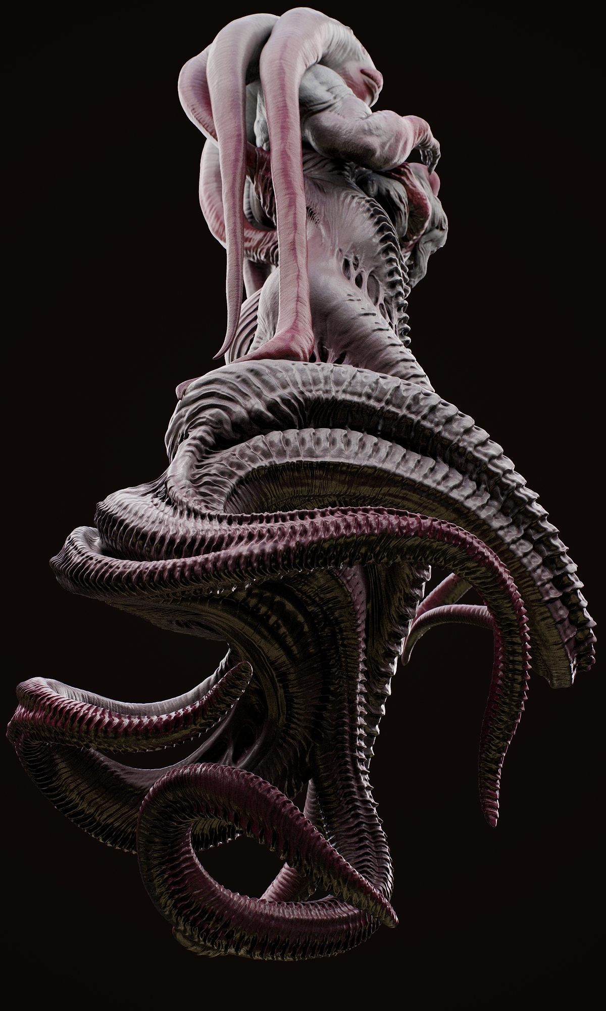 tbrender013_Viewport