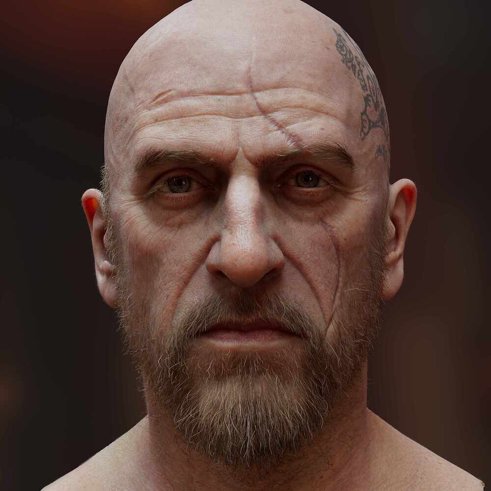 viking_1_0006