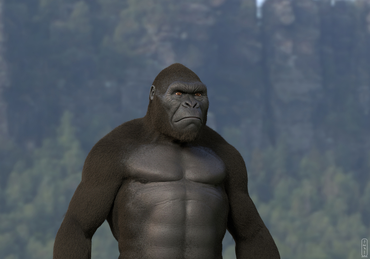 salah-elshehry-z29x-kong