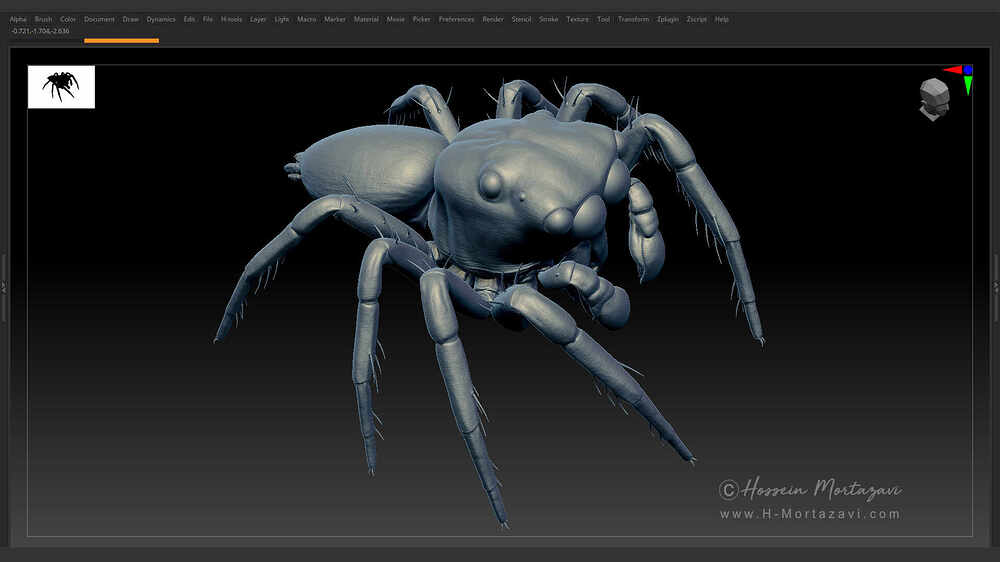 Jumping_Spider_WIP_03