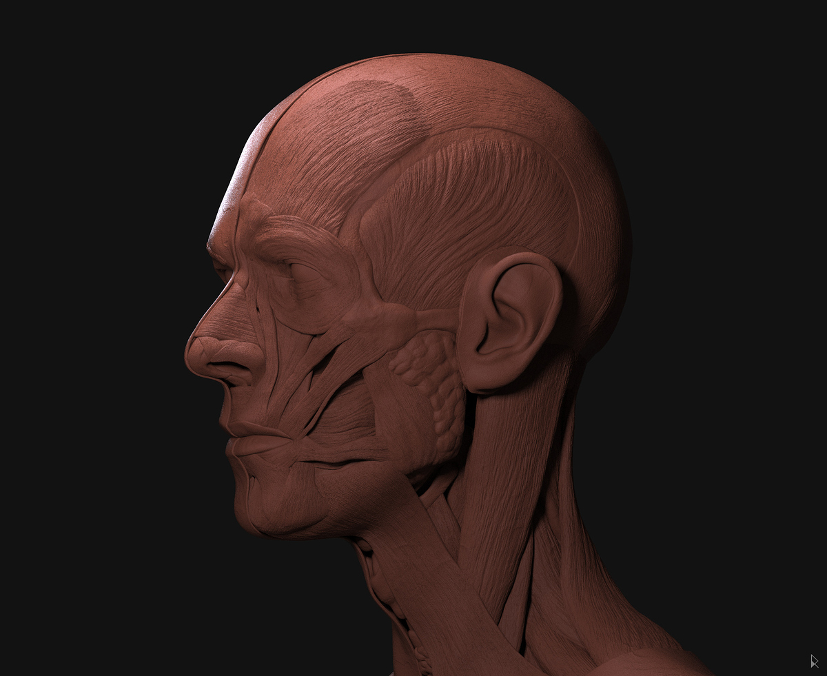 bowie_render4