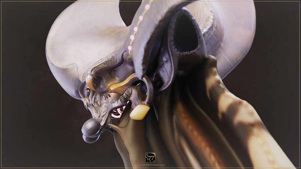 C77-WORS-Sml-InPro_0008_www.CAMERONFARN.com