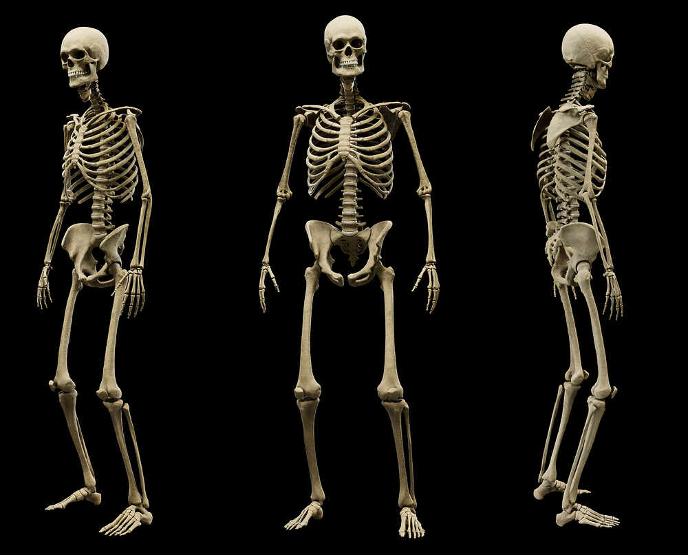 triplets_skel