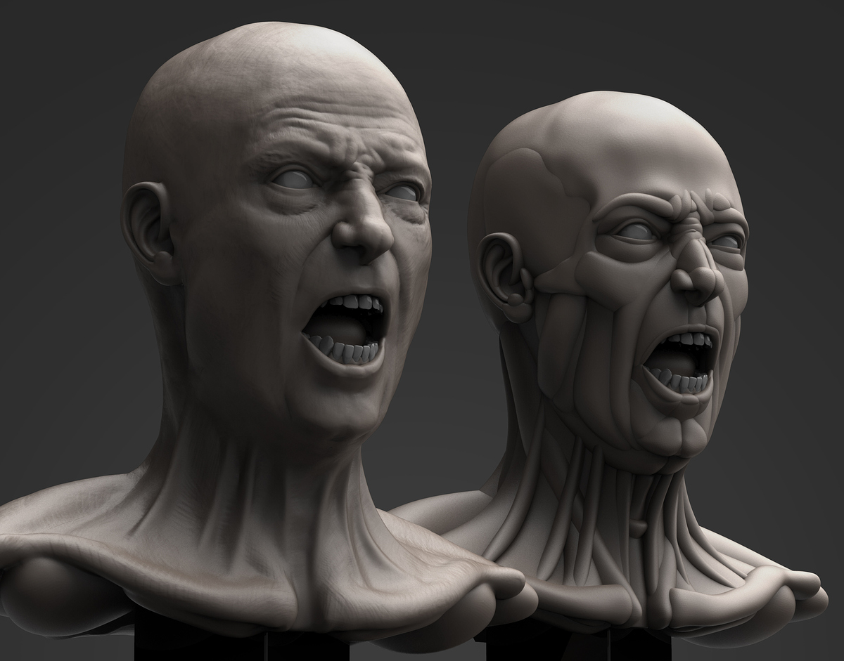 HEAD TEST1.16