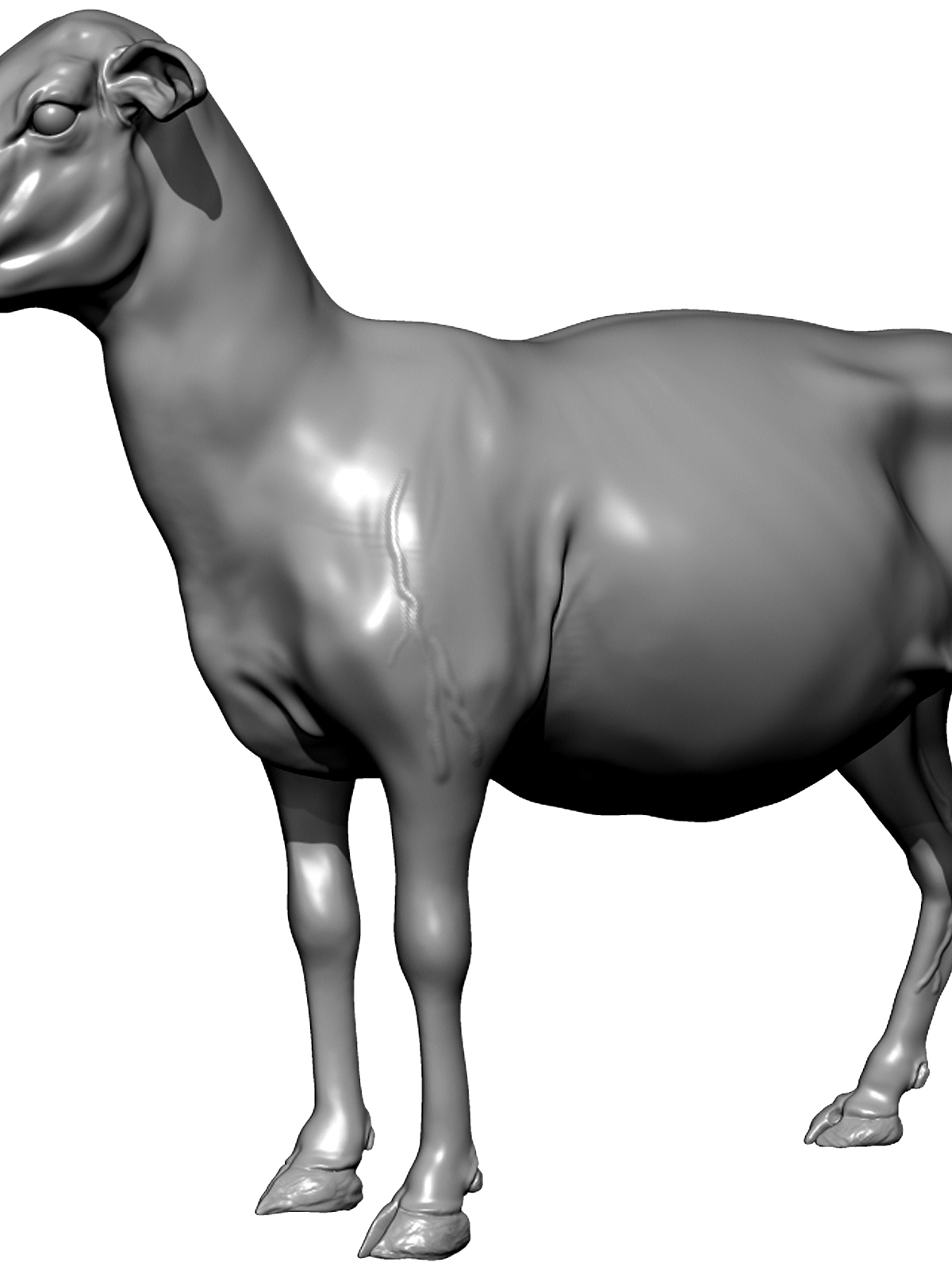 BPR_Render.jpg