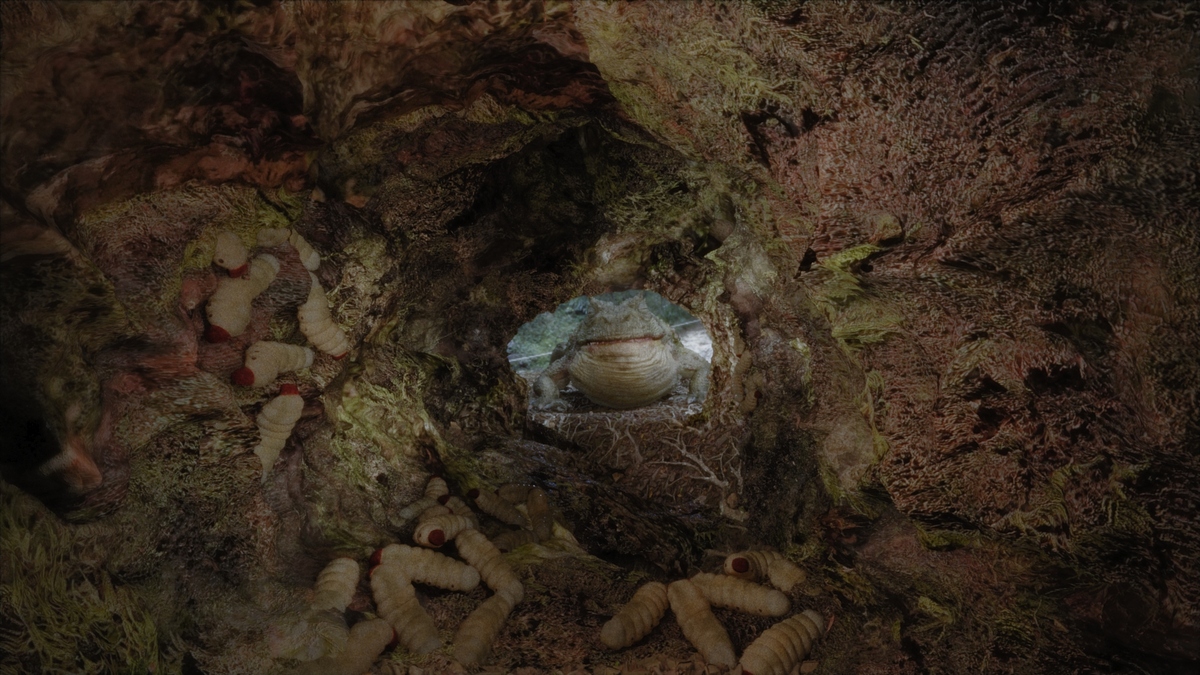 CARACOL3664