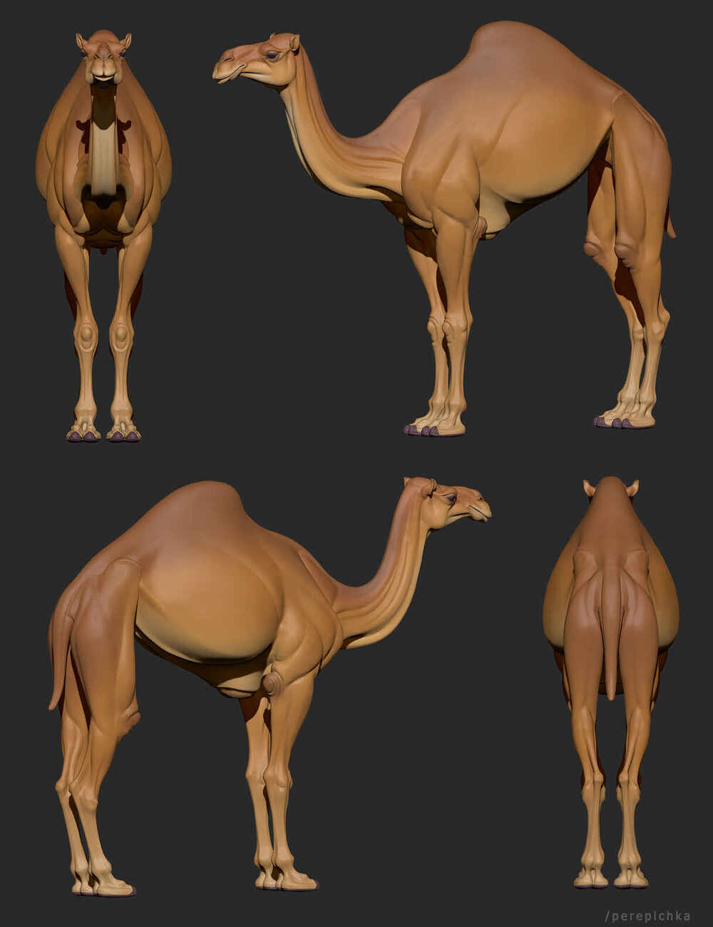 verblud_render_01_polypaint