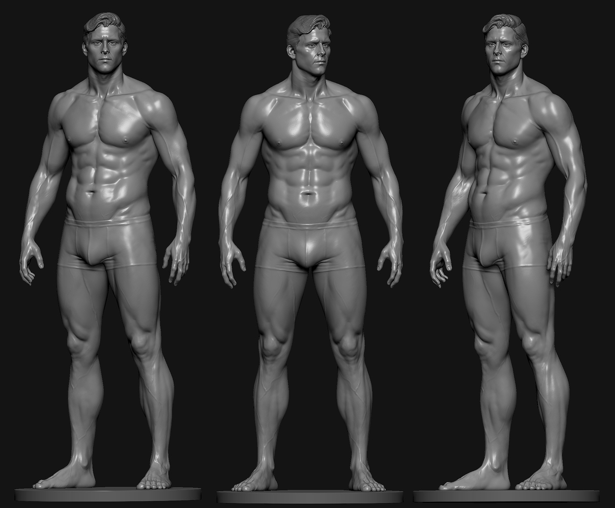 male_anatomy_study (3)