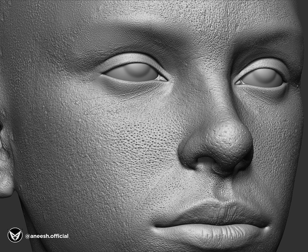 the-aneesh-arts-zbrush-detailings-view-00000