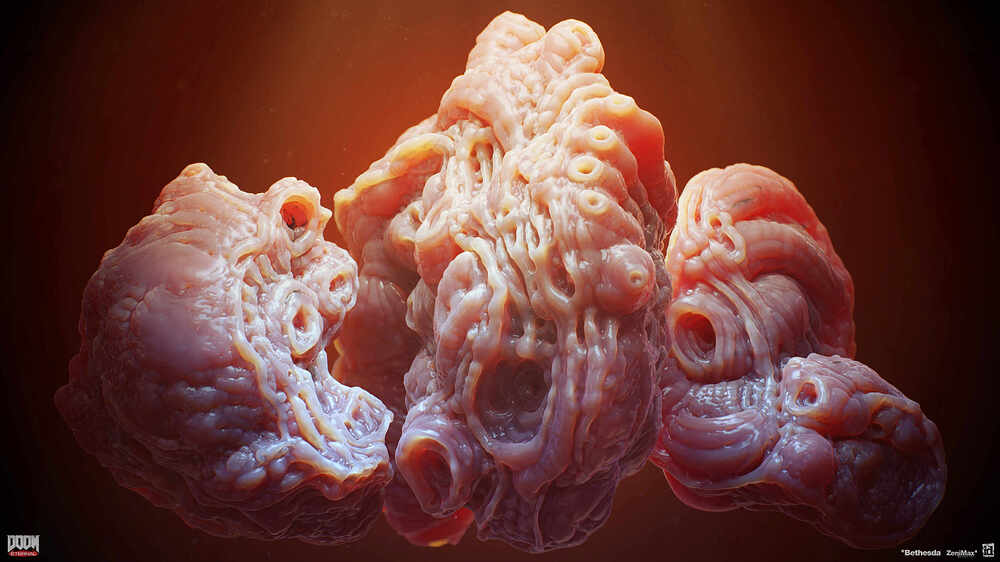 organs_06