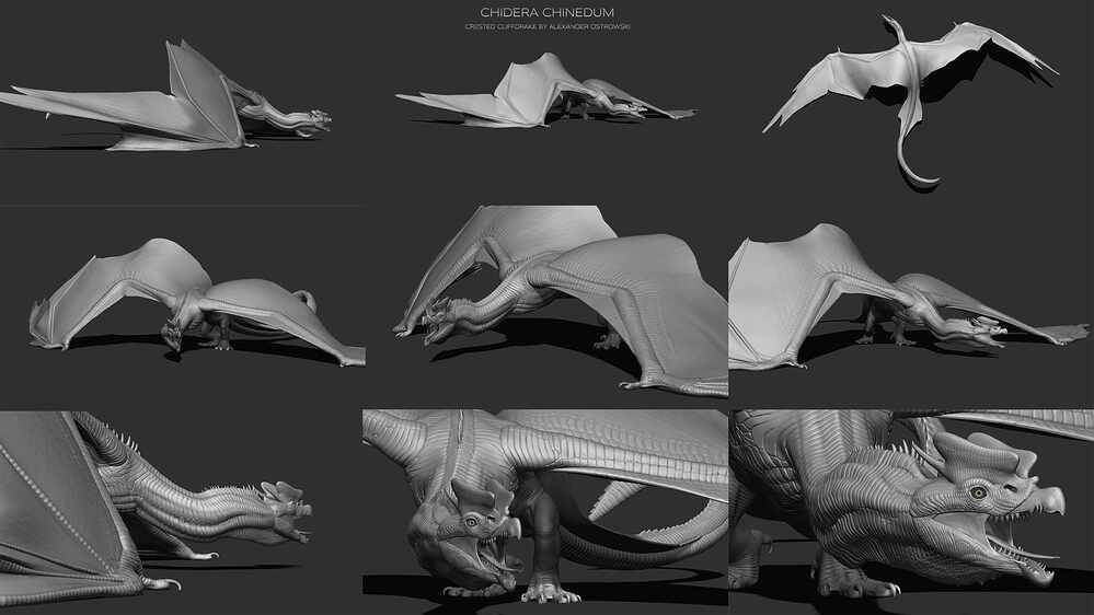 Wyvern_collage