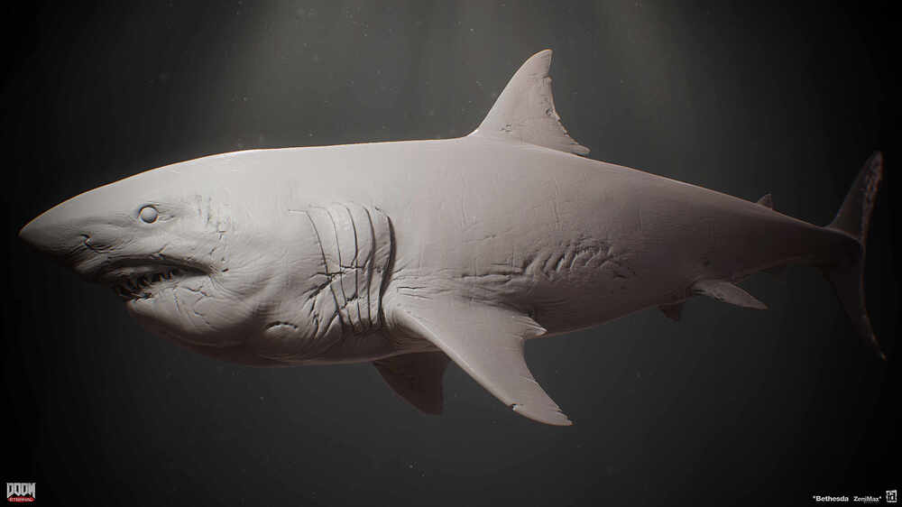 shark_side_grey