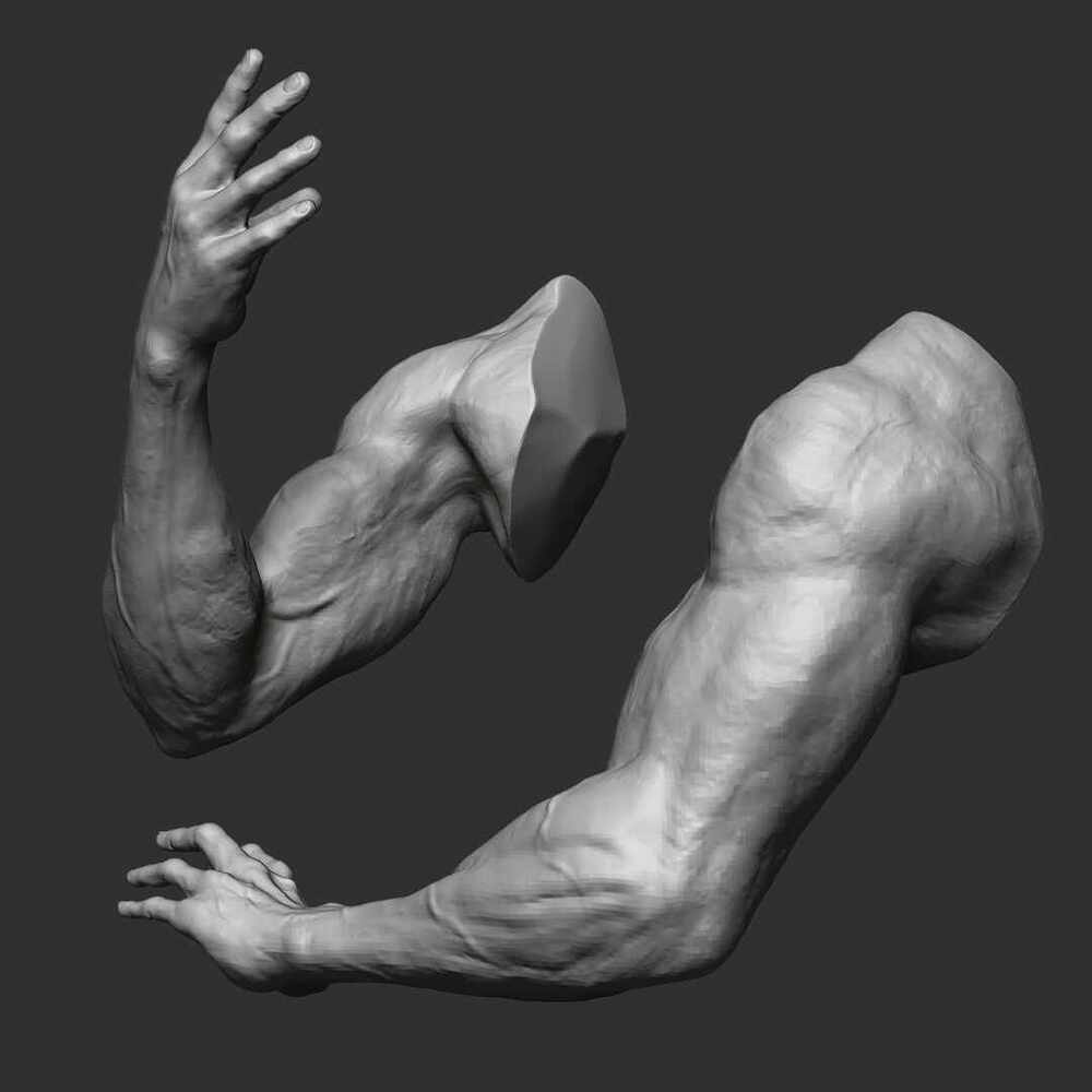Arms_n_hands_1