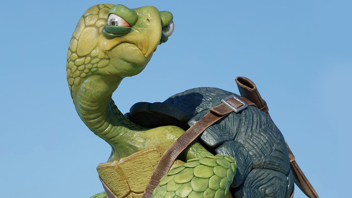 PirateTurtle2