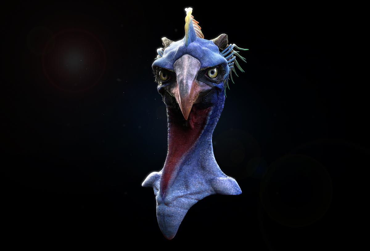 comp_01