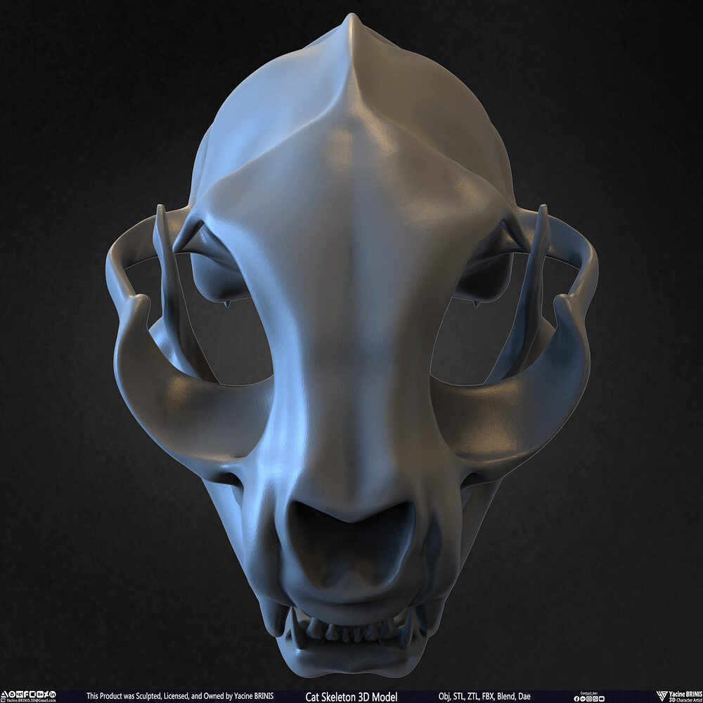 Highly Detailed Cat Skeleton 3D Model Sculpted by Yacine BRINIS Set 034