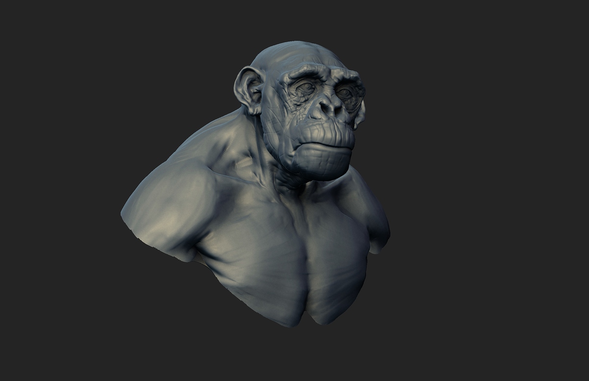 chimp_004b