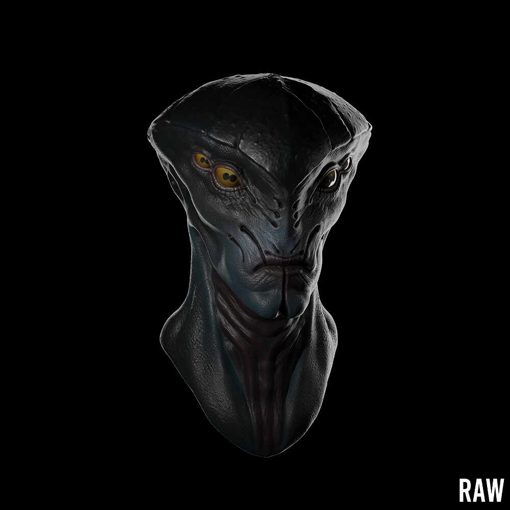 Raw copy 2