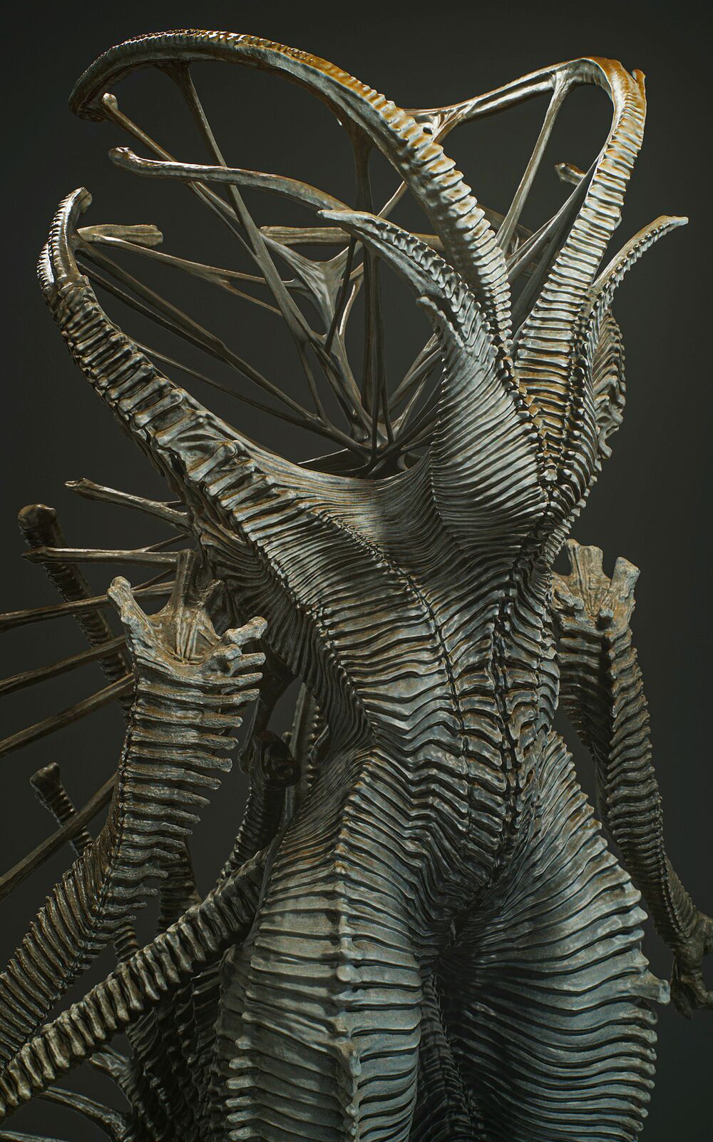 Partially2_Cold_Symmetry_0013