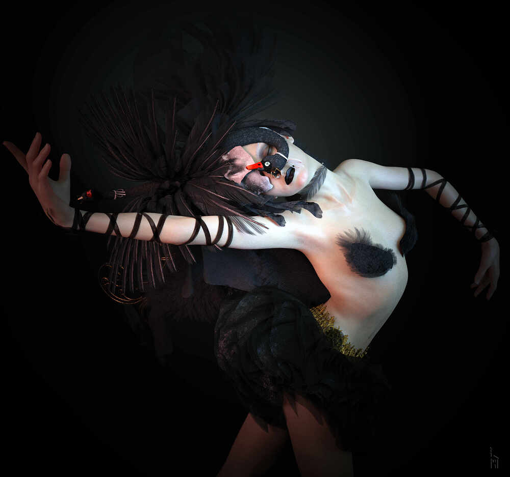 Swan-Dance-Costume-Promo_01